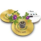  Eco-Decors  Biglietto premio al più ecologista dell\'anno  Medaglia ecologica con semi di Ipomea