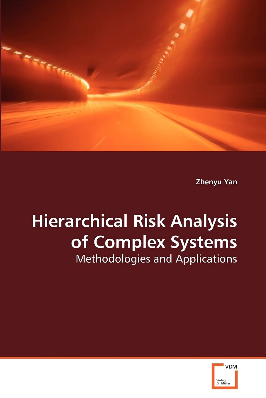Hierarchical Risk Analysis of Complex Systems: Methodologies and Applications