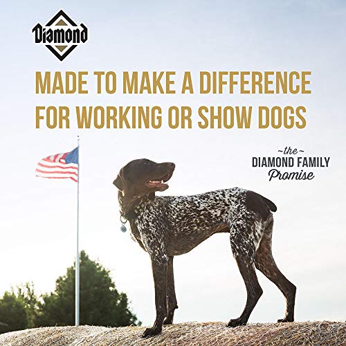 Diamond Premium Complete And Balanced Dry Dog Food For A Working Or Show Dog 20Lb - Thumbnail 3