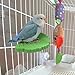 Baoblaze Ginkgo Leaf Parrot Perch Paw Grinding Pole Easy to Use,Rest Station,Resin Bird Cage Perch for Cockatiels Parakeets,Conures, Green