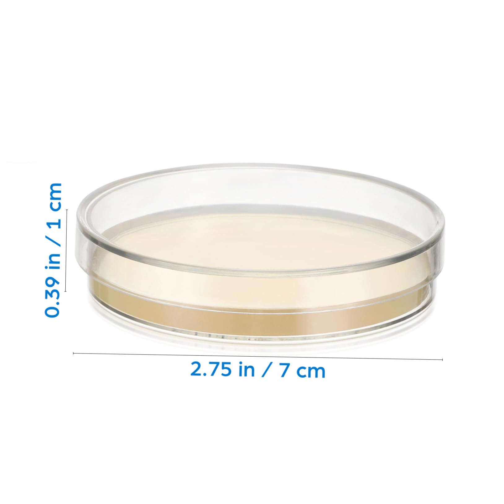 Vorgegossene Agar-petrischalen 20-teiliges Set 7 Cm Nähragarplatten Einfach Zu Verwendendes Wissenschaftliches Laborzubehör