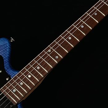 Amazon | Momose MJS-TOCHI WSE'24/NJ HYD-BL-B (Hydrangea Blue Burst