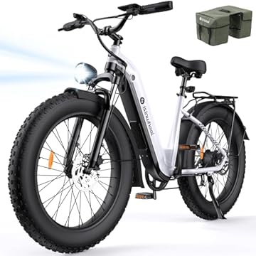 rad power bikes radrover 6 fat tire e bike