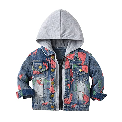 Toddler Boys Girls Long Sleeve Winter Warm Outwear Vest Jacket Jean Coat Dinosaur Printing Toddler Girl Hoodie