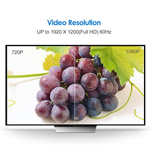 Rankie Displayport (Dp) To Vga Adapter, Gold Plated Converter, Black #TOP5