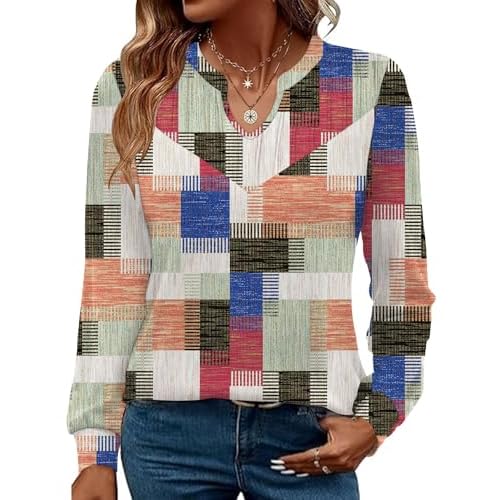 Rapbin Womens Long Sleeve Tops V Neck Dressy Casual T Shirts Trendy Pleated Tunic Shirts Loose Fit Basic Blouses