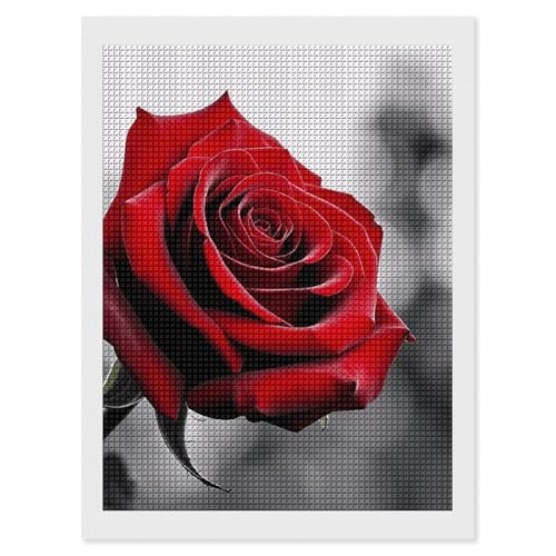 Peinture diamant 5D maccbn broderie diamant carrée complète et loisir créatif adulte