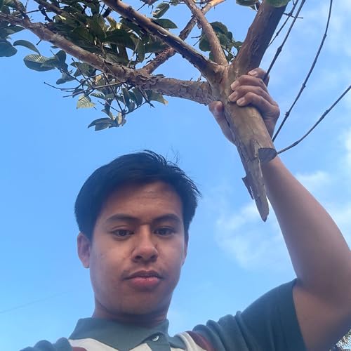 Idea Dictionary w/ David Seminary cover art