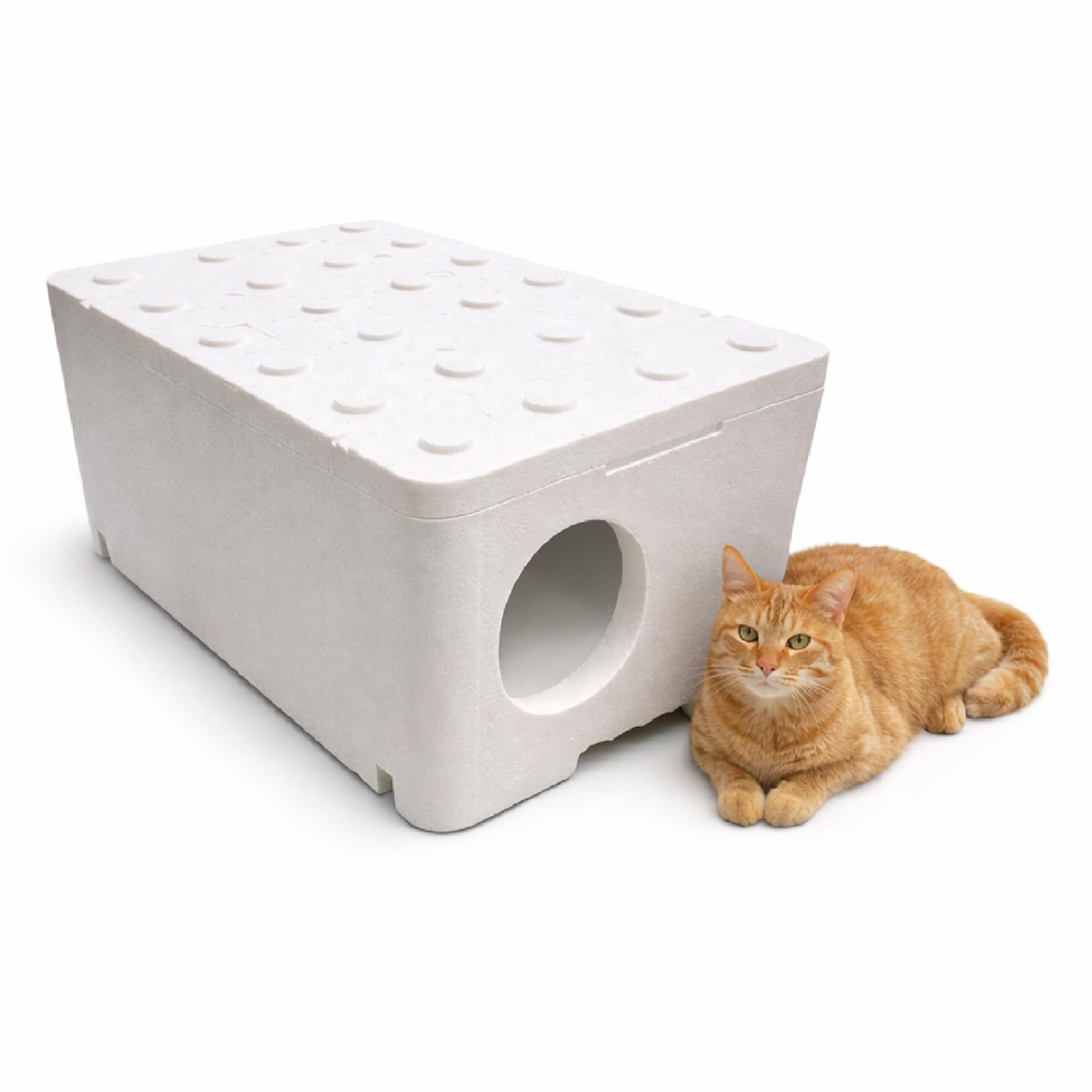 QLS Wetterfestes Katzenhaus aus Styropor 60x40x30 cm