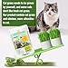 SYWUAII 100g/3.52oz Cat Grass Treats, Cat Grass Teething Stick for Hairball Remove and Teeth Cleaning, Edible Cats-Grass Stick Snack