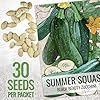 Seed Needs Zucchini Seeds for Planting Black Beauty Summer Squash - Non-GMO, Heirloom & Untreated - Prolific Yields of Delicious Zucchinis in a Home Grown Outdoor Vegetable Garden (1 Pack) #2