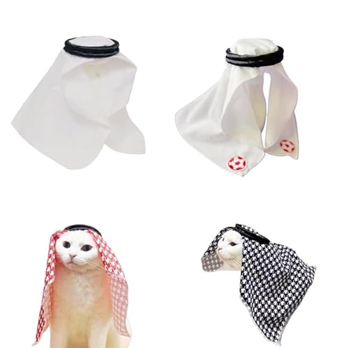 TEWArA q  ybg ybgo_i tFXeBohXAbv p[eB[ RX`[ RXvߑ  ʔ AuX^C Lʐ^ nEB[ NX}X (XS,D)