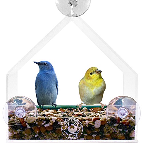 Grateful Gnome - Giant Window Bird Feeder - Clear Acrylic House for Small or Large Wild Bird Like Cardinals and Chickadees