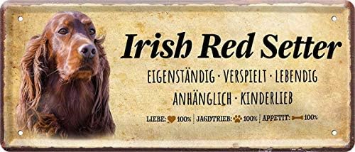 Retro Blechschild Wäscheplan - Witziger Spruch 20x30cm