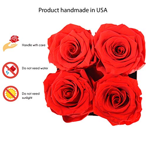 O'HARA DES FLEUR | Real Roses That Last a Year or More|Preserved Roses in a Box No Need to Water Or Deal with Wilted Petals (RED, White Box) - Image 4