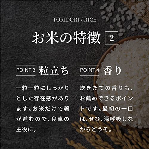 Amazon.co.jp: 【20kg】令和7年産 新米 鳥取県産コシヒカリ 真空パック 