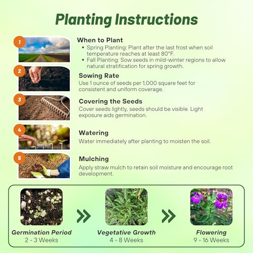 Outsidepride Showy Penstemon Seeds for Planting - 500 Pcs Perennial Flower Seeds with Aromatic, Bell-Shaped Blossoms Attractive to Pollinators, for Xeriscaping, or Wild Flower Gardens Outsidepride Showy Penstemon Seeds for Planting - 500 Pcs Perennial Flower Seeds with Aromatic, Bell-Shaped Blossoms Attractive to Pollinators, for Xeriscaping, or Wild Flower Gardens