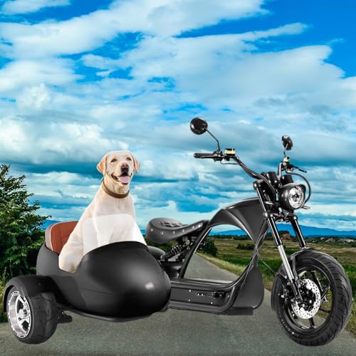 eAhora Electric Motorcycle 4000w/3000w eAhora M1P Series, 50mph/45mph Electric Motorcycle for Adults, 40ah/30ah Battery, Up to 40-55Miles with Dual Suspension and Full Hydraulic Brake Package