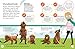 Alles über deinen Hund: So sorgst du für dein Lieblingstier. Mit Steckbriefen beliebter Hunderassen und Quiz (Mein Haustier)