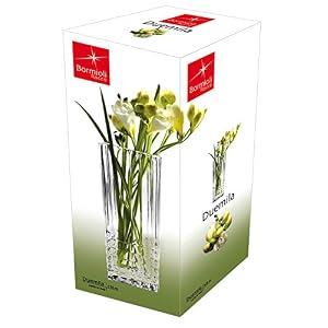 Bormioli Rocco Duemila Square Flower Vase, 9-Inch Bormioli Rocco Duemila Square Flower Vase 9 Inch