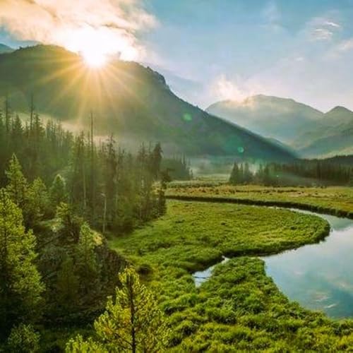 Vivian Layne & Amy Whitcomb