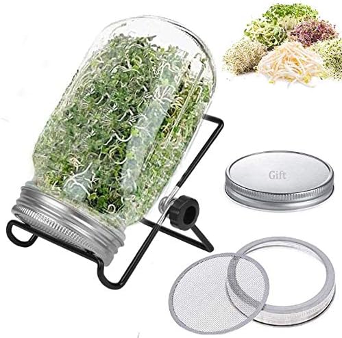 Sprouting Jar Kit for Sprouting Seeds Indoor Seed Sprouter 32oz for Making Sprouts Mason Jar for Sprouting Broccoli,Beans & More - Includes one jar, draining Stand,Sealing Canning lid,900ml