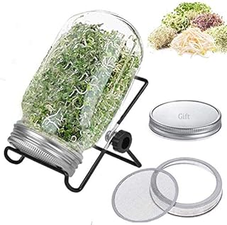 Sprouting Jar Kit for Sprouting Seeds Indoor Seed Sprouter 32oz for Making Sprouts Mason Jar for Sprouting Broccoli,Beans & More - Includes one jar, draining Stand,Sealing Canning lid,900ml