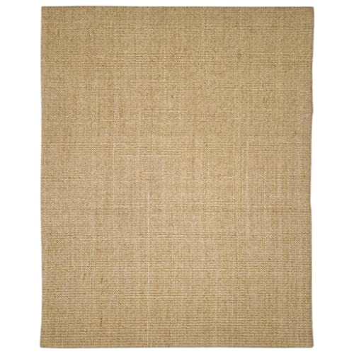 vidaXL Tapis Moquette de Sol Tapis de Plancher Tapis de Sol Moquette de Salon Salle de Séjour Maison Intérieur Sisal Naturel 80x100 cm