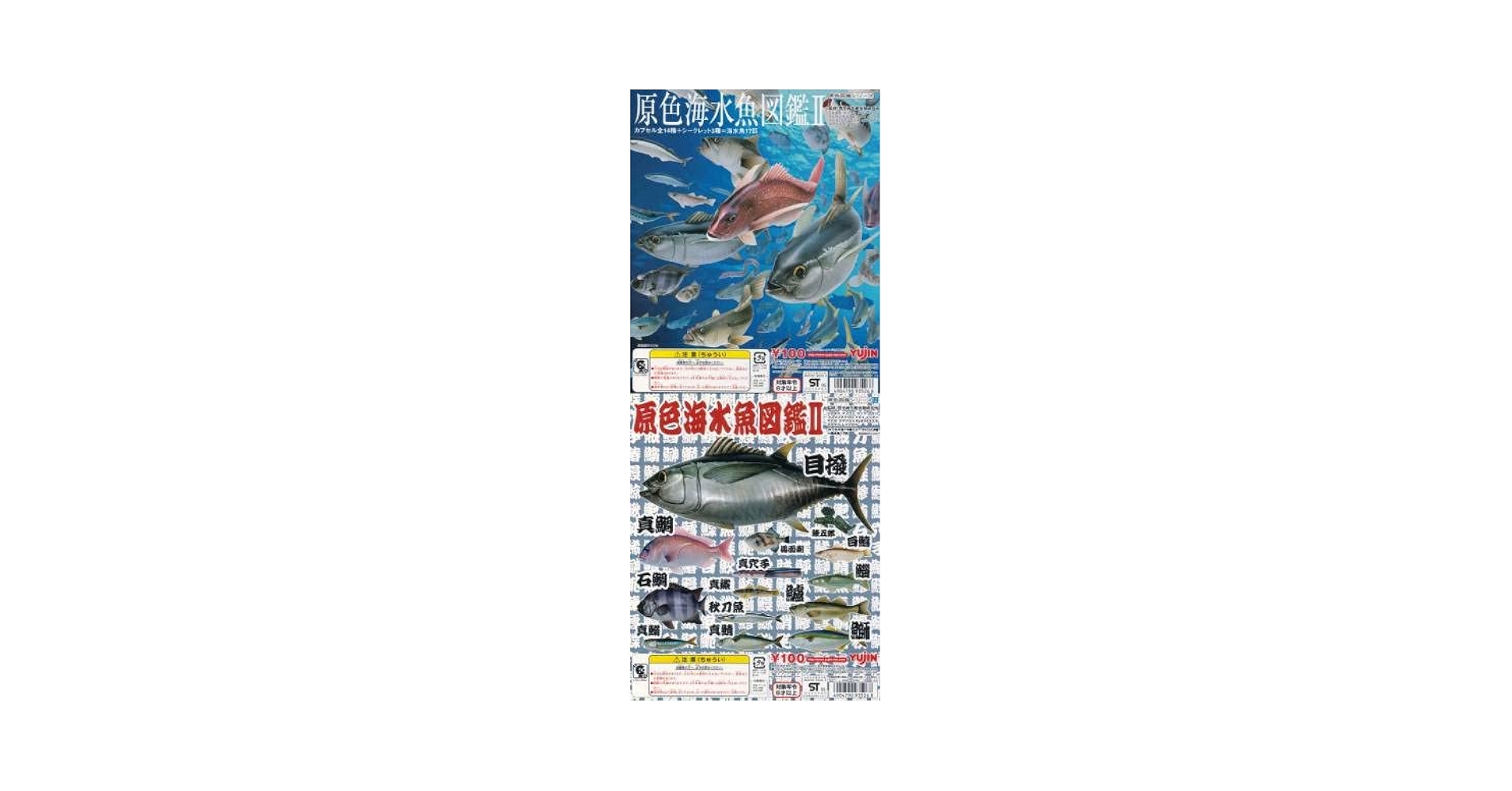 【絶版本　美品】原色検索　日本海岸動物図鑑2 絶版本 美品】原色検索 日本海岸動物図鑑2 原色検索日本海岸動物