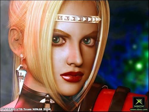 ニンジャガイデンの関連画像3