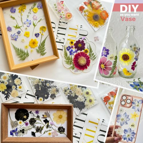 98 piezas flores secas prensadas grandes para resina miniatura 5
