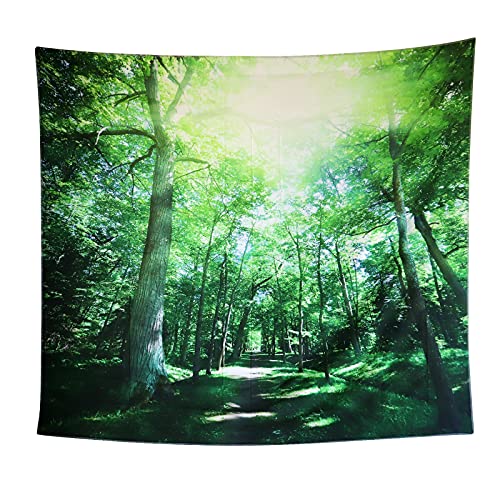 Beowanzk Tapiz para Dormitorio, Tapiz estético para Colgar en la Pared, Tela, Arte, Tapiz de Bosque, 150 * 130 Cover