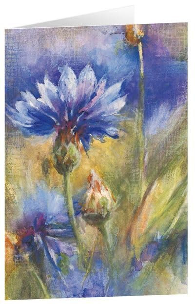 Kornblumen adeo cartes artistiques lot de 6 pour ne plus manquer d'idées