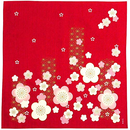 _l GziC~ 50cmj ̗t~l