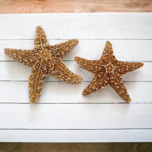 Real Starfish Decor 4-6 in Large Starfish for Crafts & Beach Decor 2pcs