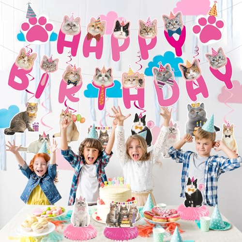 Image of Cat Birthday Party Hanging Swirls - NOVBAUB 20PCS Lovely Pink Cat Birthday Party Supplies Honeycomb Centerpieces Cute Cat Theme Birthday Party Decorations for Cats Kids Teens Adults