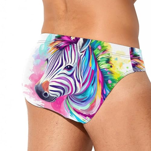 Colorful Zebraes Men's Swim Trunks Briefs Swimsuit Swimwear Bathing for Underwear Beach4