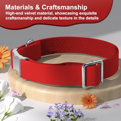 Asvin Samt-Hundehalsband – Verstellbare Hundefliege, Metall-Schnellverschluss – Für alle Hundegrößen extra robust