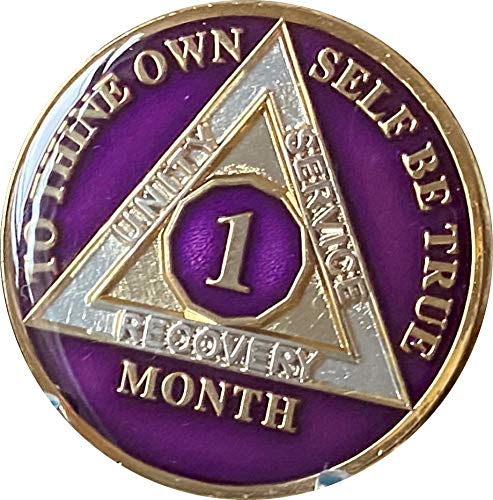 Ranger Industries 1 Month AA Medallion Metallic Purple Tri-Plate 30 Day Sobriety Chip