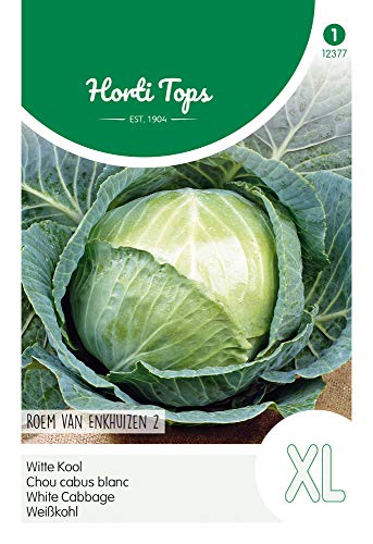 Hortitops 12377 Repollo Blanco Gloria De Enkhuizen (semillas de col blanca)