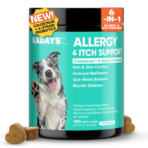 Dog Chews  - image 1