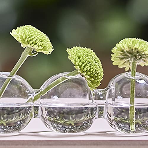 Chive ‘Caterpillar’ Bubble Bud Vase For Centerpieces — 6 Hole Multi Chamber Clear Glass Flower Vase For Short Flowers — Small, 10.25” Long #TOP3