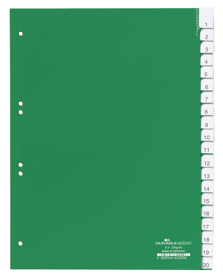 Durable Kunststoffregister mit blanko Taben, 20-teilig, A4 hoch, grün, 622305 (Packung mit 5)