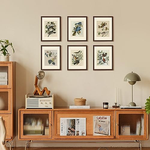 Image of upsimples 11x14 Picture Frame, Display Pictures 8x10 with Mat or 11 x 14 Without, Wall Hanging Photo Frames, Brown, 1 Pack