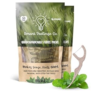 Biodegradable Dental Floss Picks 100 Count 2 Packs | Eco-Friendly Bamboo Like Straw Wheat Sustainable Mint Flavored Flossers for Kids and Adult Teeth Cleaning for The Enviromentally Conscious