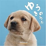 めっせーじ 歌詞