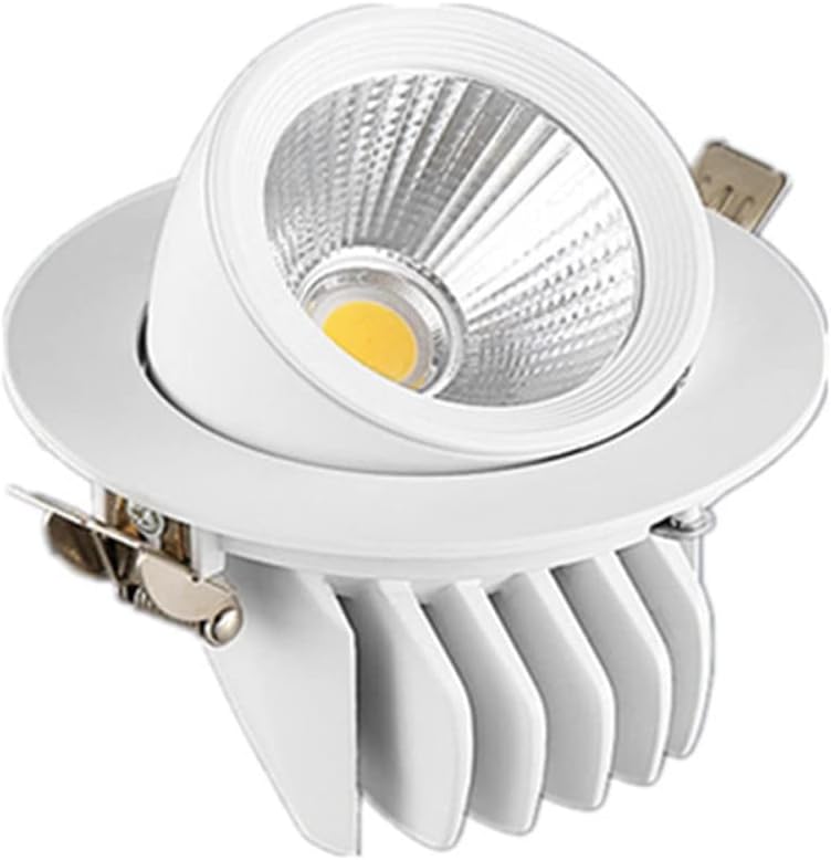 2.5-5 Inch 360° Rotation LED Recessed Lighting 5-30W High Brightness LED Can Lights 3000K/4000K/6000K Selectable Ceiling Light Downlight