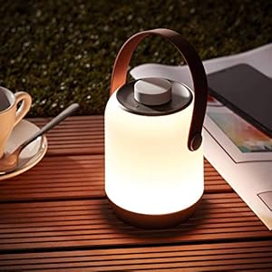 Lightbox LED Tischlampe für den Garten mit warmweißem Licht – Spritzwassergeschützte Tischleuchte mit Drehdimmer…