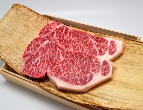 ㋍ T[C Xe[L 250g×2 ˉϔ Mtg Xe[L\[XAXpCXt A4 A5 Yy̓ ̓  Ε j  ⋍ F{XŁz