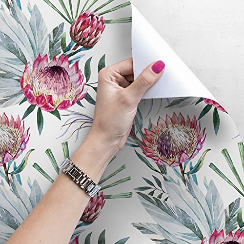 Papier peint floral Protea 290x290 cm stickers muraux auto-adhésifs salon